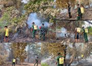 Gerak Cepat Kodim 1305/BT Padamkan Kebakaran Perkebunan Cengkeh di Bukit Sumalikat, 5 Hektar Lahan Terdampak
