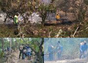 Diduga Puntung Rokok Picu Kebakaran Kebun, Polisi Pastikan Api di Lembah Bomban Berhasil Dipadamkan