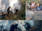 Bhabinkamtibmas Berdikari Bersama Warga Berjibaku Padamkan Kebakaran Hutan Lindung di Palolo, Sigi