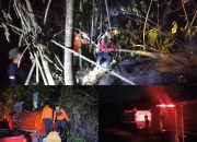 TRC-PB BPBD Sulteng Lanjutkan Penanganan Karhutla di Lore Utara, 0,5 Hektare Area Ditangani